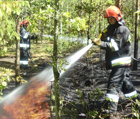 Leśne pożary w Młyńsku i Jeleniowie